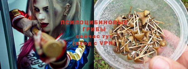 метамфетамин Алексеевка