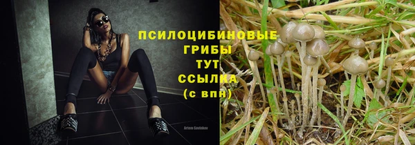 apvp Алексин