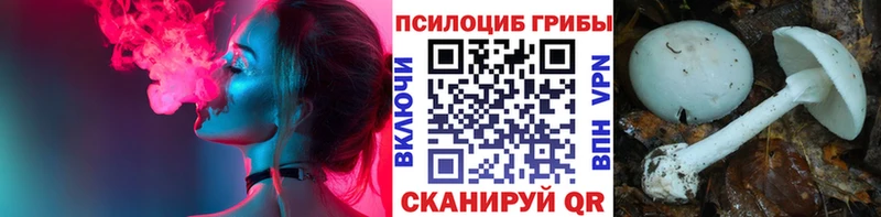 Галлюциногенные грибы мицелий  Приморск 
